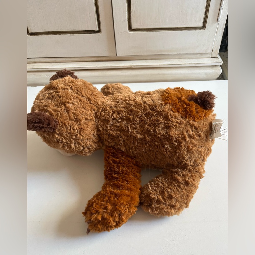10" Eric Carle Zoobies Brown Bear “What do you see”Plush Story Book Stuffed Toy - Picture 2 of 11